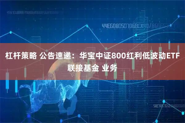 杠杆策略 公告速递：华宝中证800红利低波动ETF联接基金 业务